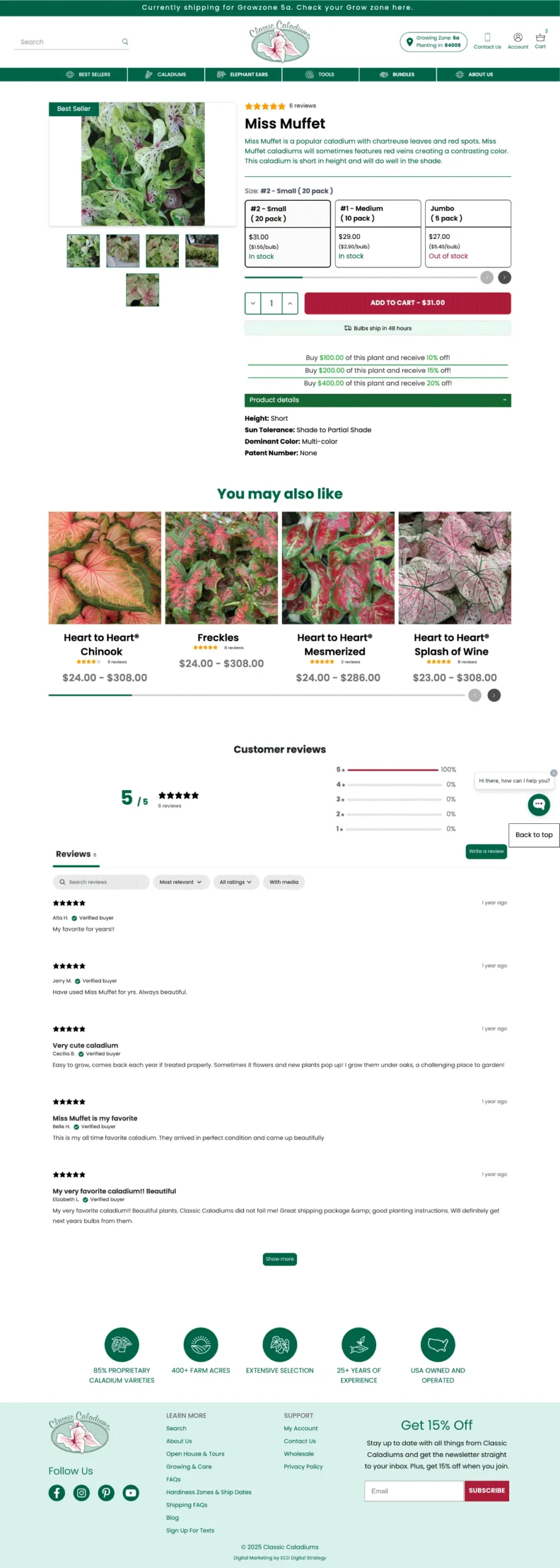web images shop