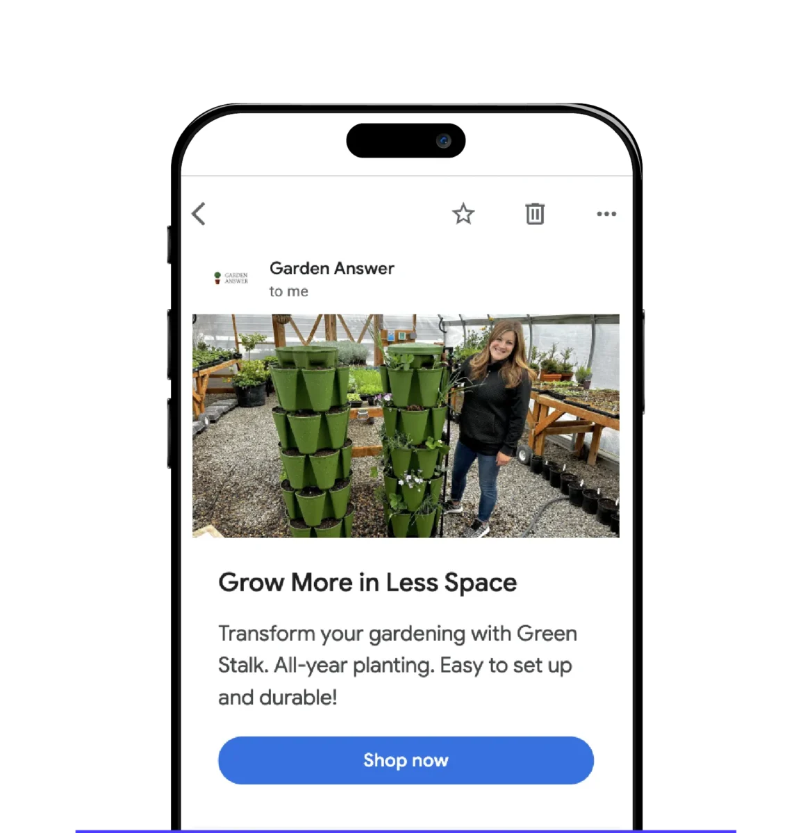 Paid search phase 1