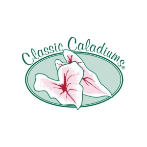 logo cc
